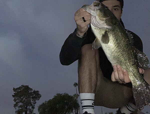 Largemouth Bass caught at lake